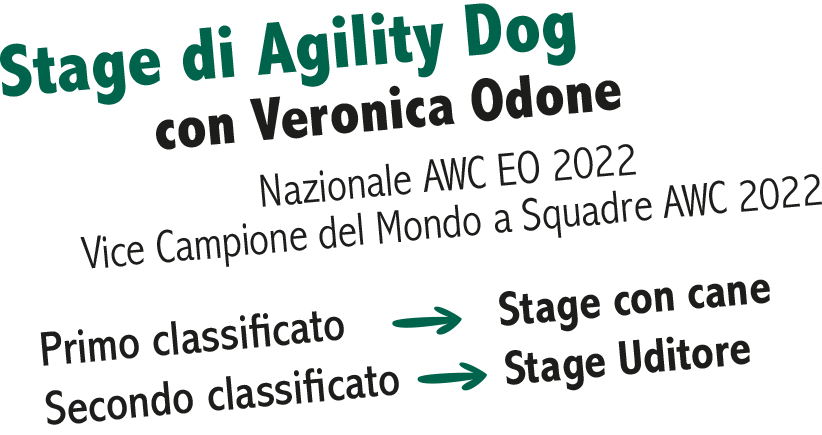 Agility: Innovet ed Enci, insieme per il Trofeo Condrogen 