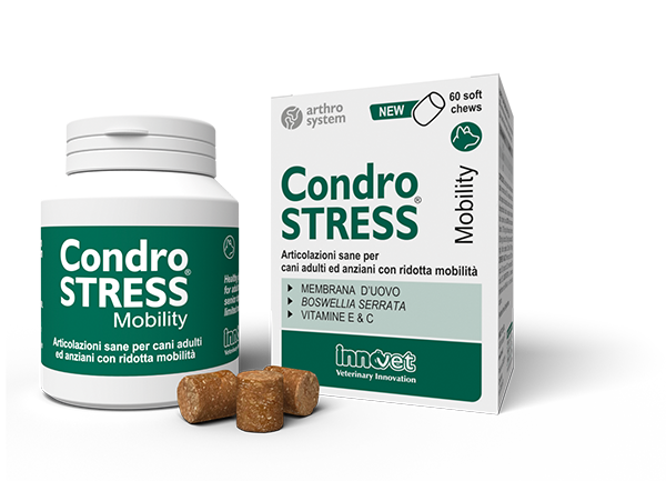 condrostressmobility60