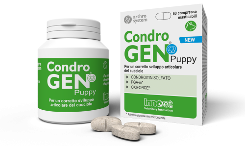 condrogen_puppy_60