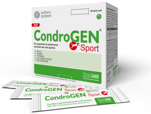 condrogen_sport