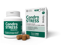 condrostressmobility60